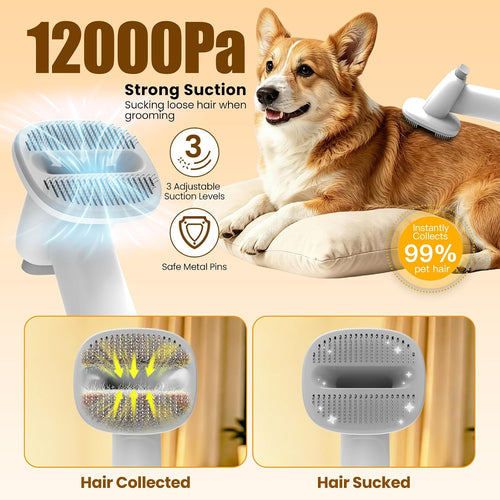 Ultimate Dog Grooming Vacuum Kit